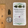 Moldavite 0.8 grams #1820-Moldavite Life