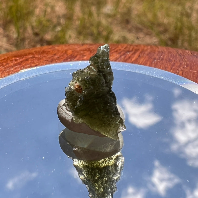 Moldavite 0.8 grams #1833-Moldavite Life