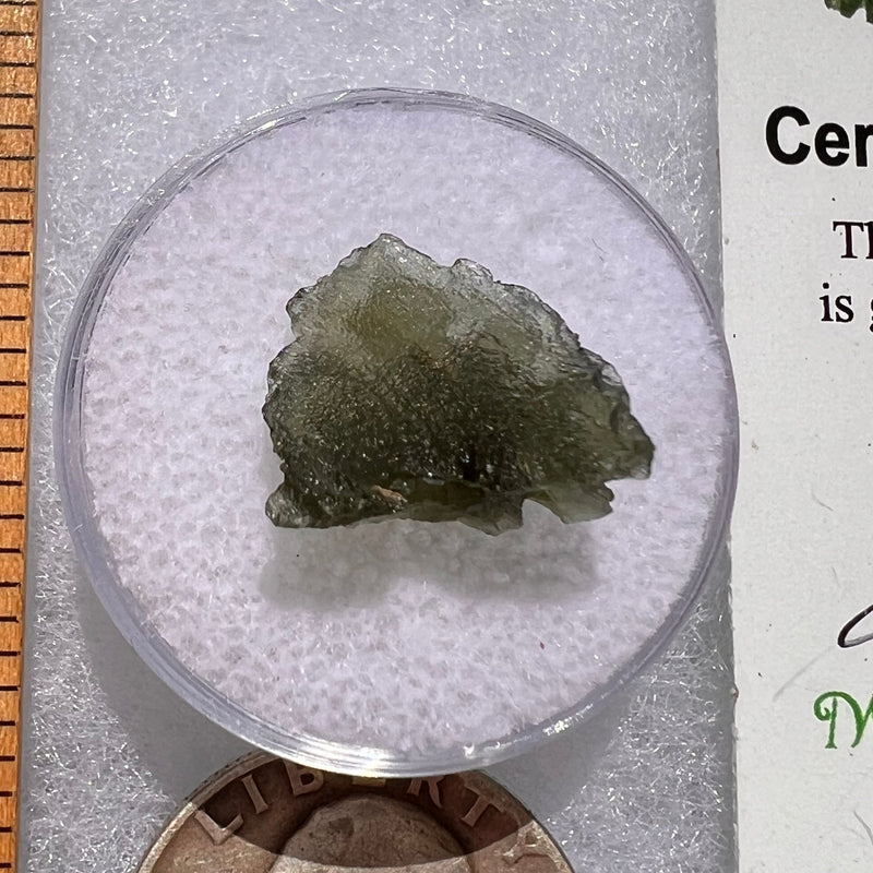 Moldavite 0.8 grams #1833-Moldavite Life