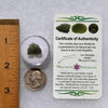 Moldavite 0.8 grams #1833-Moldavite Life