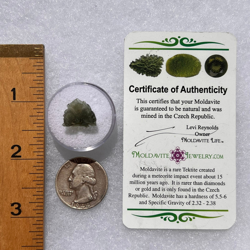 Moldavite 0.8 grams #1833-Moldavite Life