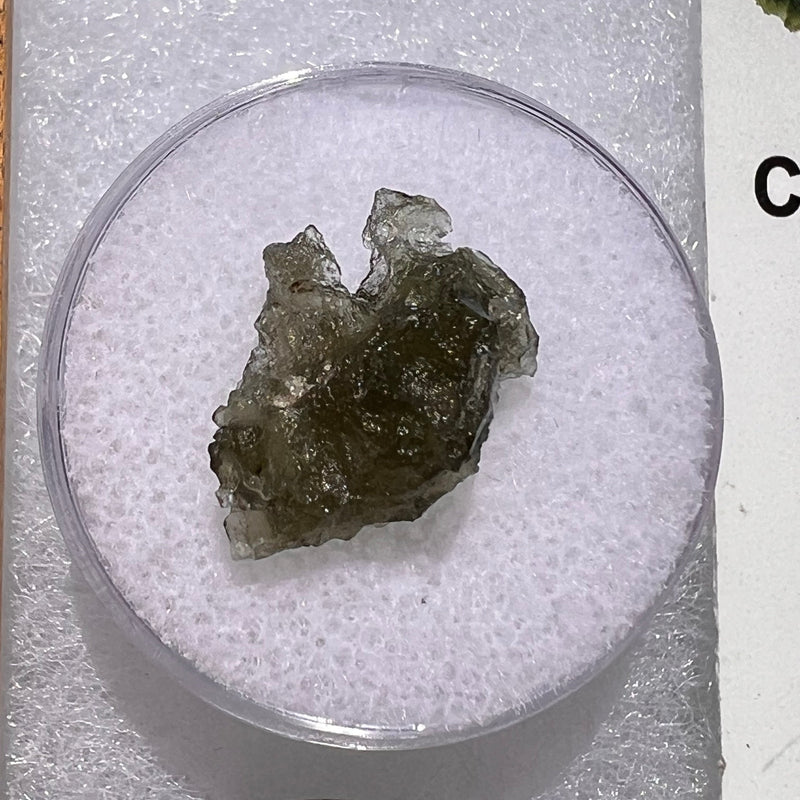 Moldavite 0.8 grams #1834-Moldavite Life