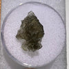 Moldavite 0.8 grams #1834-Moldavite Life