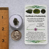 Moldavite 0.8 grams #1834-Moldavite Life