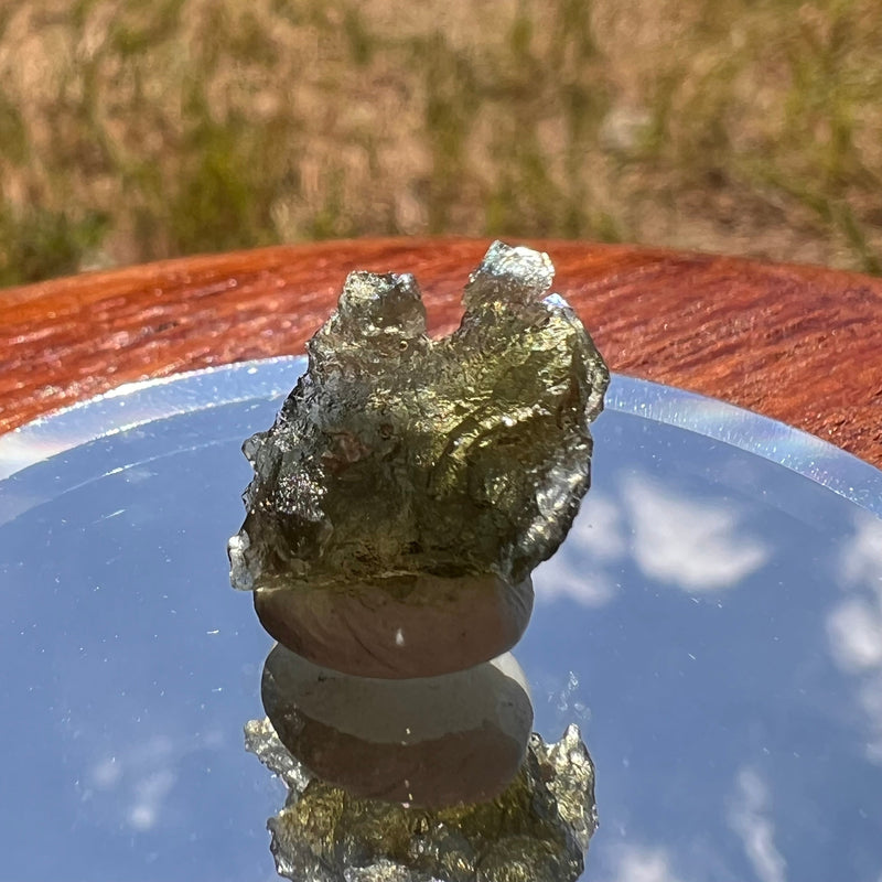 Moldavite 0.8 grams #1834-Moldavite Life