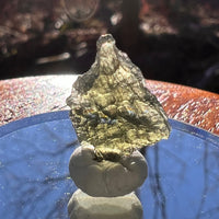 Moldavite 0.8 grams #1878-Moldavite Life