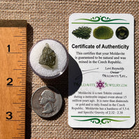 Moldavite 0.8 grams #1878-Moldavite Life