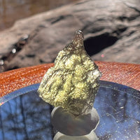 Moldavite 0.8 grams #1878-Moldavite Life