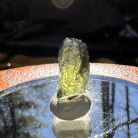 Moldavite 0.8 grams #1882-Moldavite Life