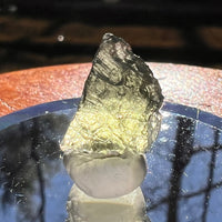 Moldavite 0.8 grams #1883-Moldavite Life