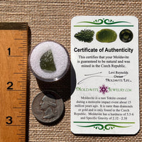 Moldavite 0.8 grams #1883-Moldavite Life
