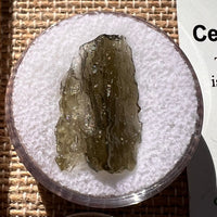Moldavite 0.8 grams #1885-Moldavite Life
