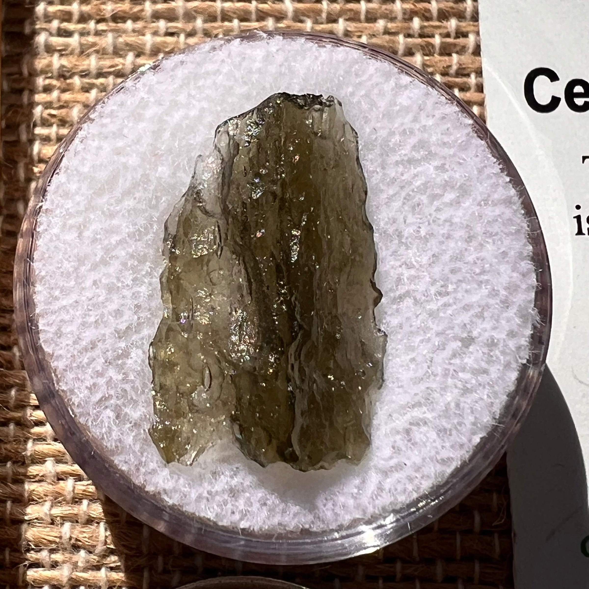 Moldavite 0.8 grams #1885-Moldavite Life