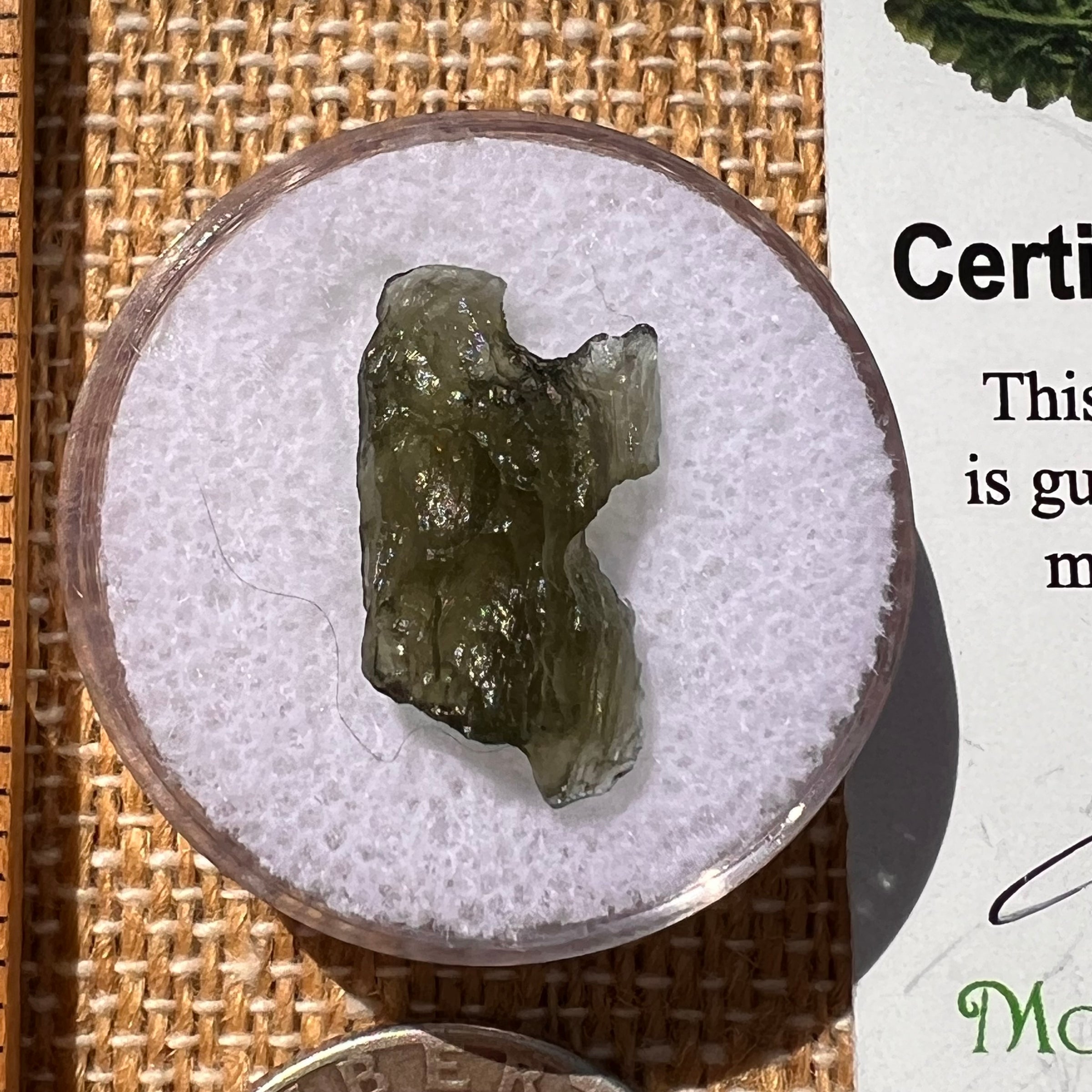 Moldavite 0.8 grams #1998-Moldavite Life