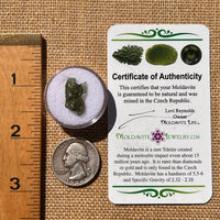 Moldavite 0.8 grams #1998-Moldavite Life