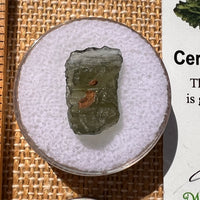 Moldavite 0.8 grams #2000-Moldavite Life