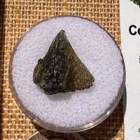 Moldavite 0.8 grams #2013-Moldavite Life