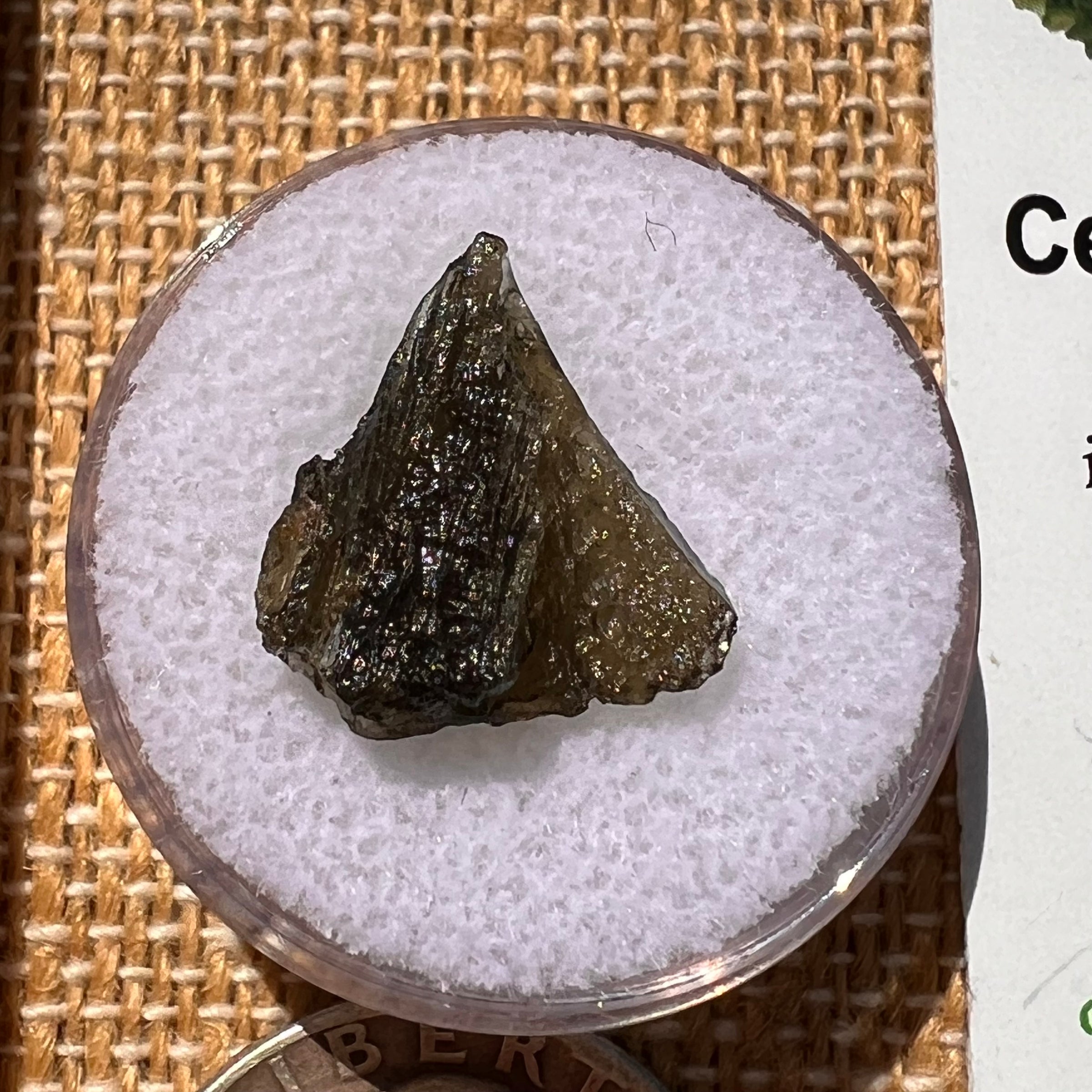 Moldavite 0.8 grams #2013-Moldavite Life