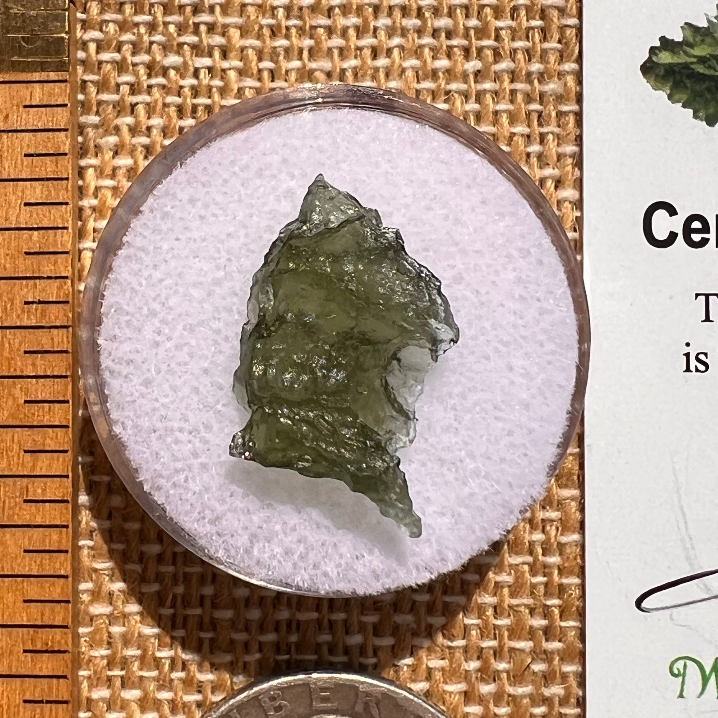 Moldavite 0.8 grams #2078-Moldavite Life