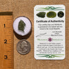 Moldavite 0.8 grams #2078-Moldavite Life
