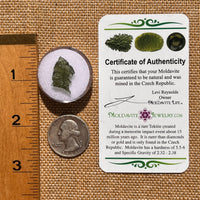 Moldavite 0.8 grams #2078-Moldavite Life