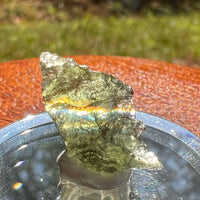 Moldavite 0.8 grams #2078-Moldavite Life