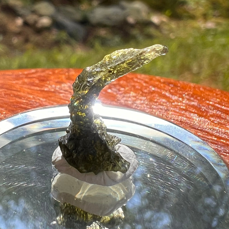 Moldavite 0.8 grams #2079-Moldavite Life