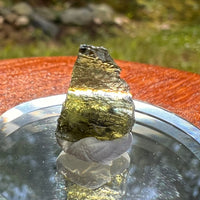 Moldavite 0.8 grams #2079-Moldavite Life