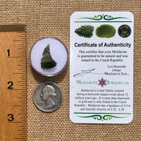 Moldavite 0.8 grams #2079-Moldavite Life