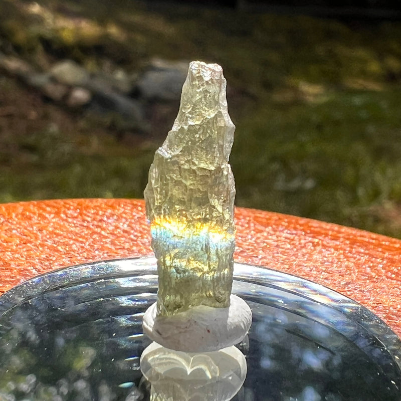 Moldavite 0.8 grams #2081-Moldavite Life