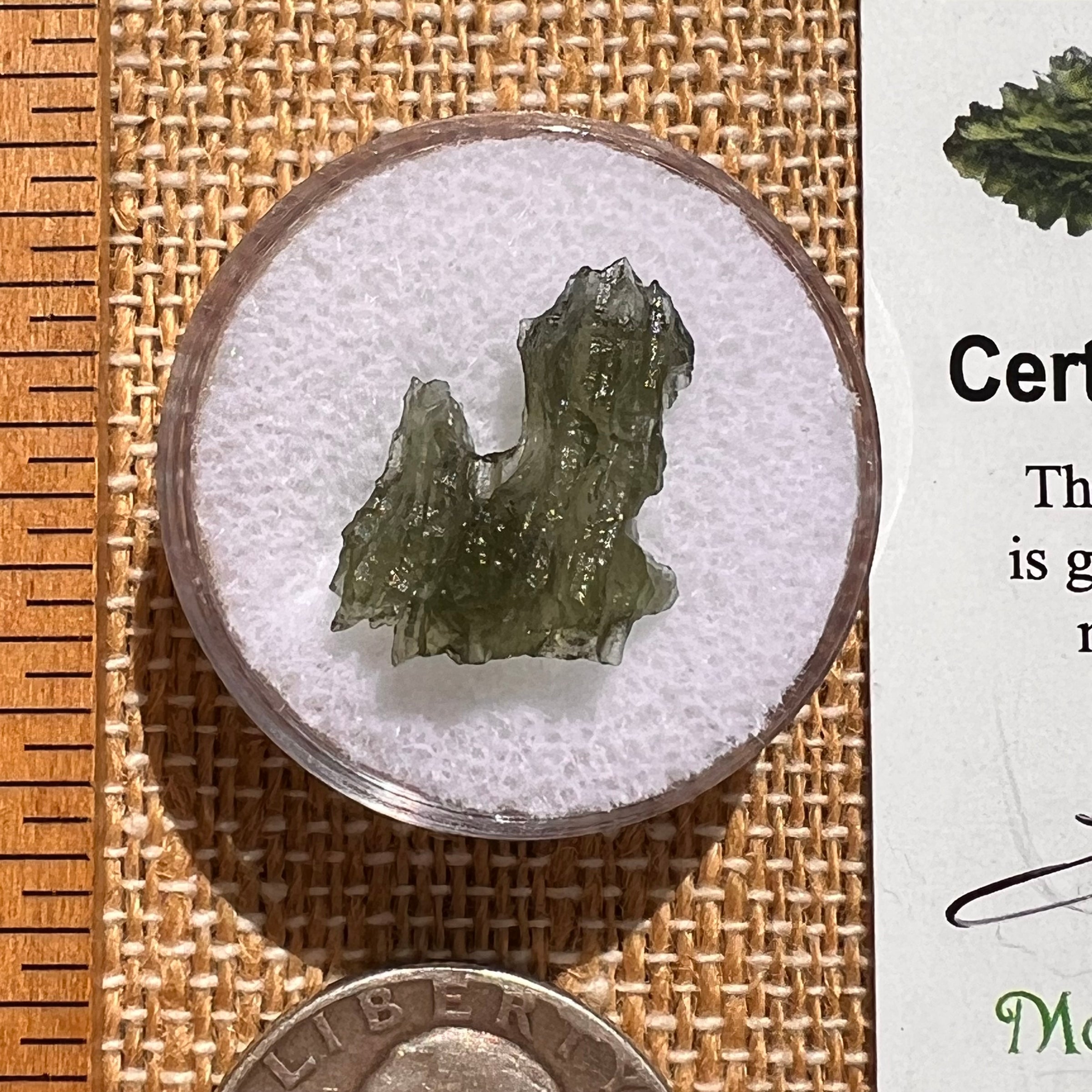Moldavite 0.8 grams #2082-Moldavite Life
