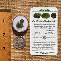 Moldavite 0.8 grams #2082-Moldavite Life