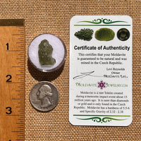 Moldavite 0.8 grams #2086-Moldavite Life