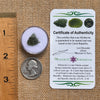 Moldavite 0.8 grams #2091-Moldavite Life