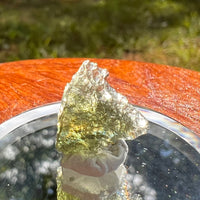 Moldavite 0.8 grams #2091-Moldavite Life