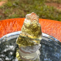 Moldavite 0.8 grams #2098-Moldavite Life