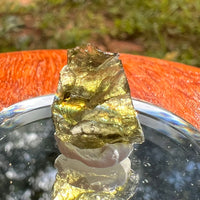 Moldavite 0.8 grams #2098-Moldavite Life