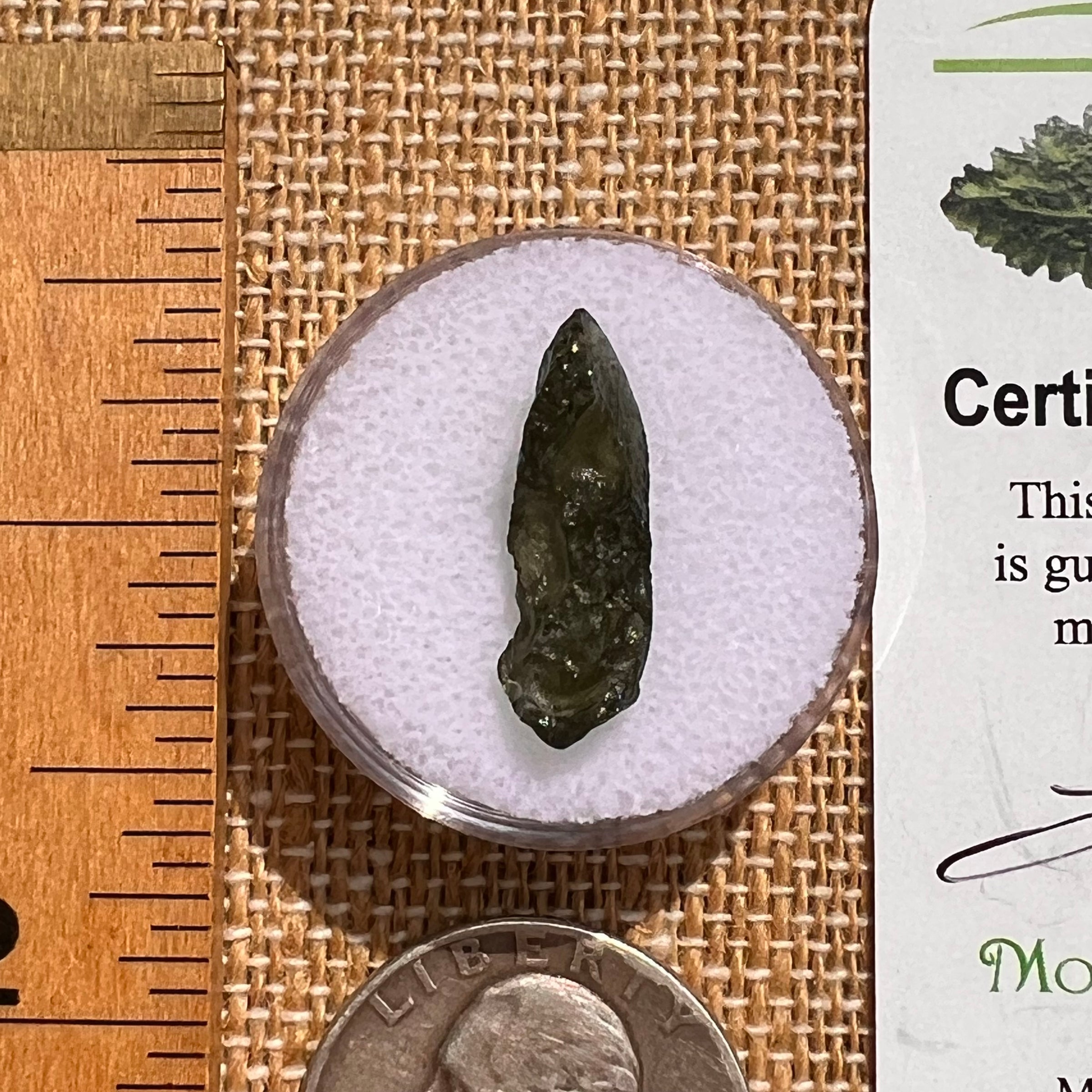 Moldavite 0.8 grams #2099-Moldavite Life