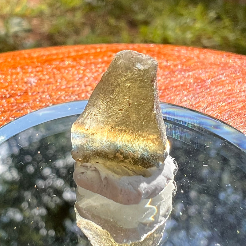 Moldavite 0.8 grams #2101-Moldavite Life