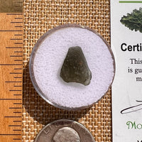 Moldavite 0.8 grams #2101-Moldavite Life