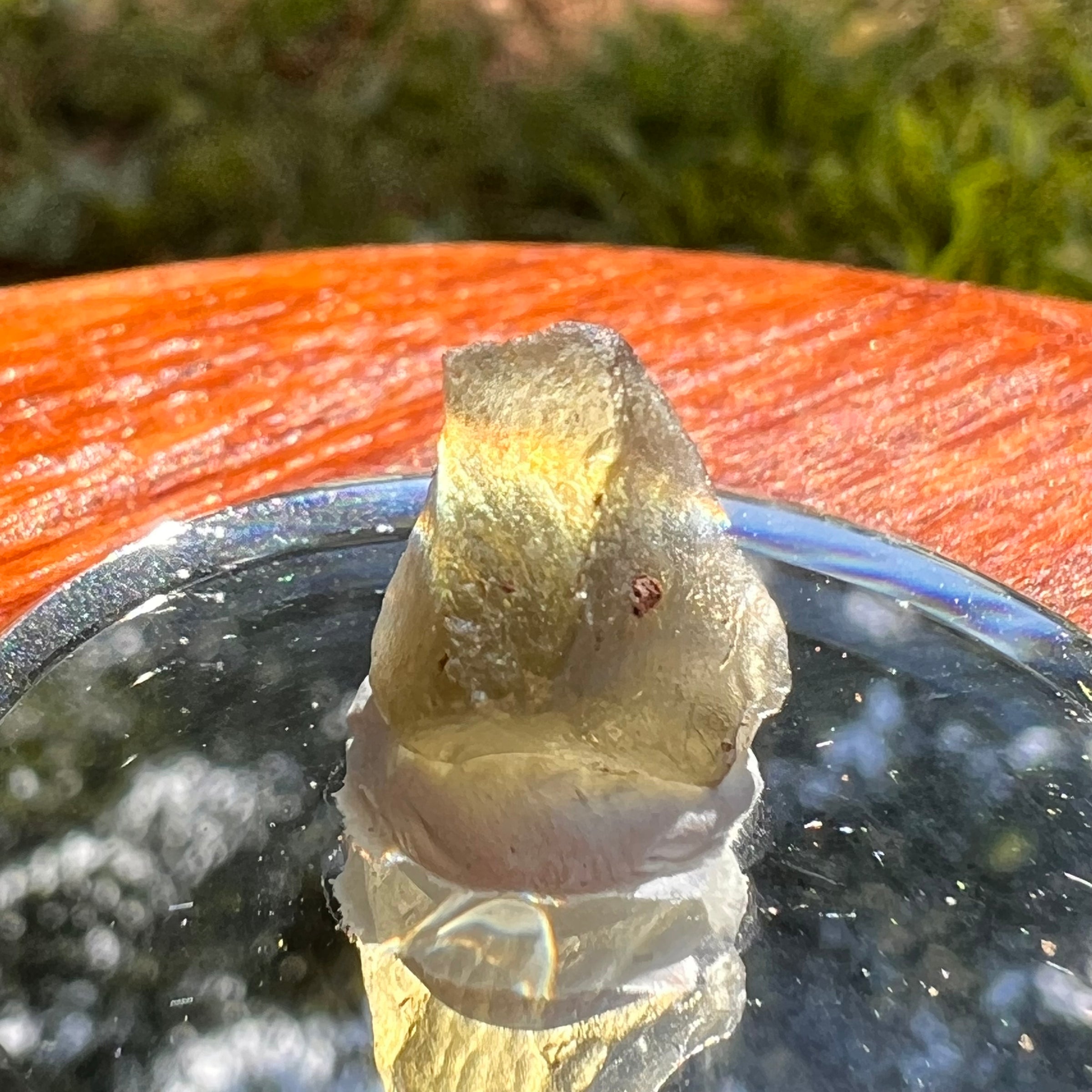 Moldavite 0.8 grams #2101-Moldavite Life