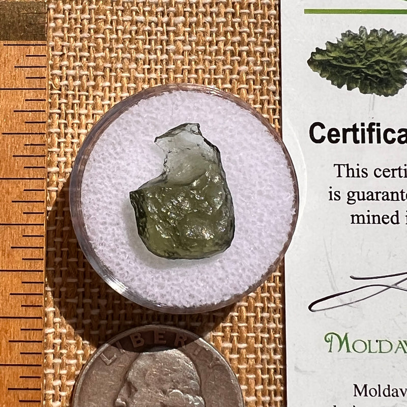 Moldavite 0.8 grams #2102-Moldavite Life
