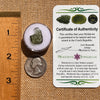 Moldavite 0.8 grams #2102-Moldavite Life