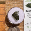Moldavite 0.8 grams #2105-Moldavite Life