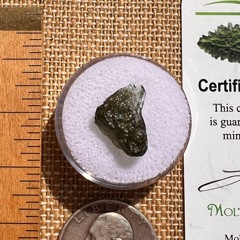 Moldavite 0.8 grams #2105-Moldavite Life