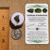 Moldavite 0.8 grams #2105-Moldavite Life