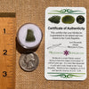 Moldavite 0.8 grams #2107-Moldavite Life
