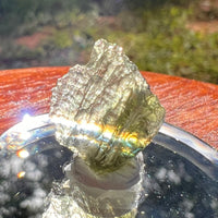 Moldavite 0.8 grams #2108-Moldavite Life