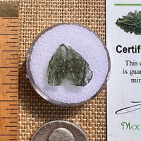 Moldavite 0.8 grams #2109-Moldavite Life