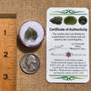 Moldavite 0.8 grams #2109-Moldavite Life